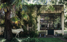 Load image into Gallery viewer, Close To Nature