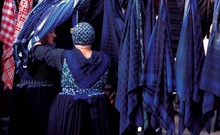 Load image into Gallery viewer, In Staphorst