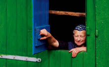 Load image into Gallery viewer, In Staphorst