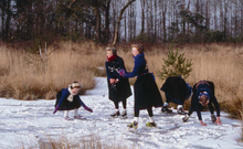 Load image into Gallery viewer, In Staphorst