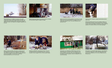 Load image into Gallery viewer, In Staphorst