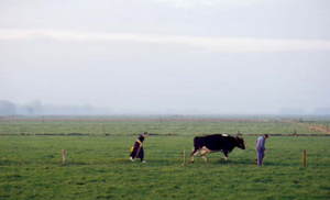 In Staphorst