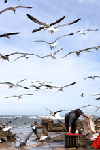 Load image into Gallery viewer, MOROCCO - Essaouira - fisherman
