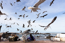 Load image into Gallery viewer, MOROCCO - Essaouira - fisherman
