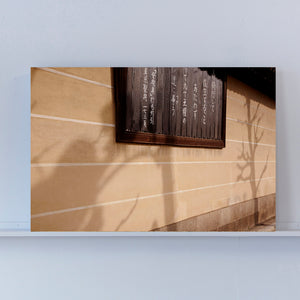 Japan - Kyoto - shadow on the wall