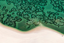Load image into Gallery viewer, MOZAMBIQUE - bazaruto archipelago - coral reef
