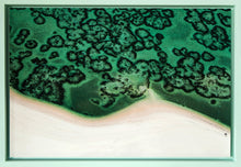 Load image into Gallery viewer, MOZAMBIQUE - bazaruto archipelago - coral reef
