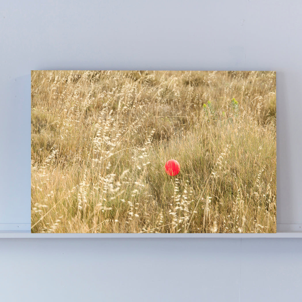 Spain - L'Escala - red balloon in the grass