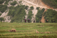 Load image into Gallery viewer, VIETNAM - Sapa - in the field
