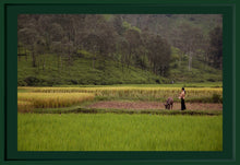 Load image into Gallery viewer, VIETNAM - Sapa - in the field
