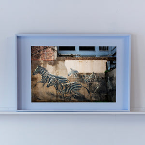 SOUTH AFRICA - johannesburg - painting of zebra's on the wall