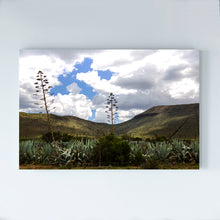 Load image into Gallery viewer, SOUTH AFRICA - great karoo - landscape
