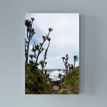 Load image into Gallery viewer, SOUTH AFRICA - wild coast
